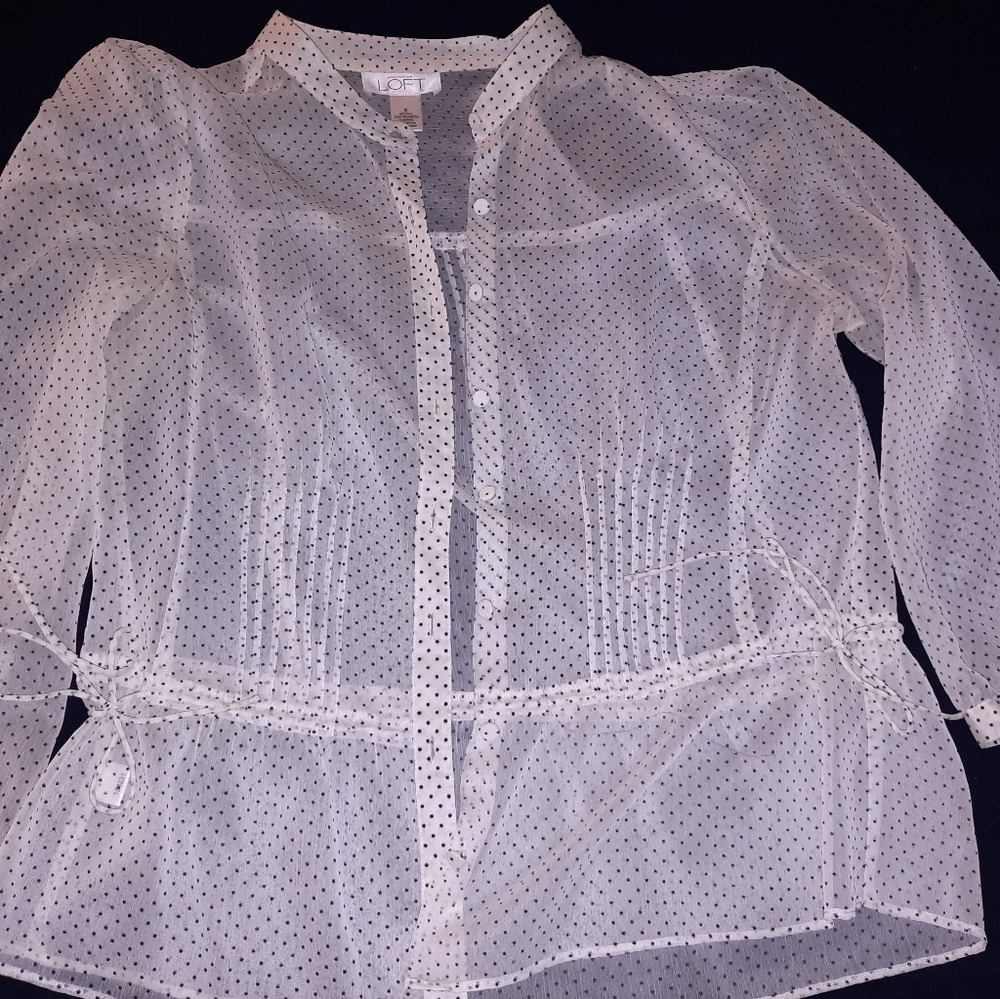 Ann Taylor Loft Sheer Blouse